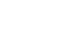 GOLDEN ROSE