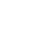 LOVE & ROSES
