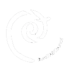 פלדנקרייז העולמי