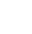 מיטל צימבר