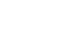 רשת בטחון