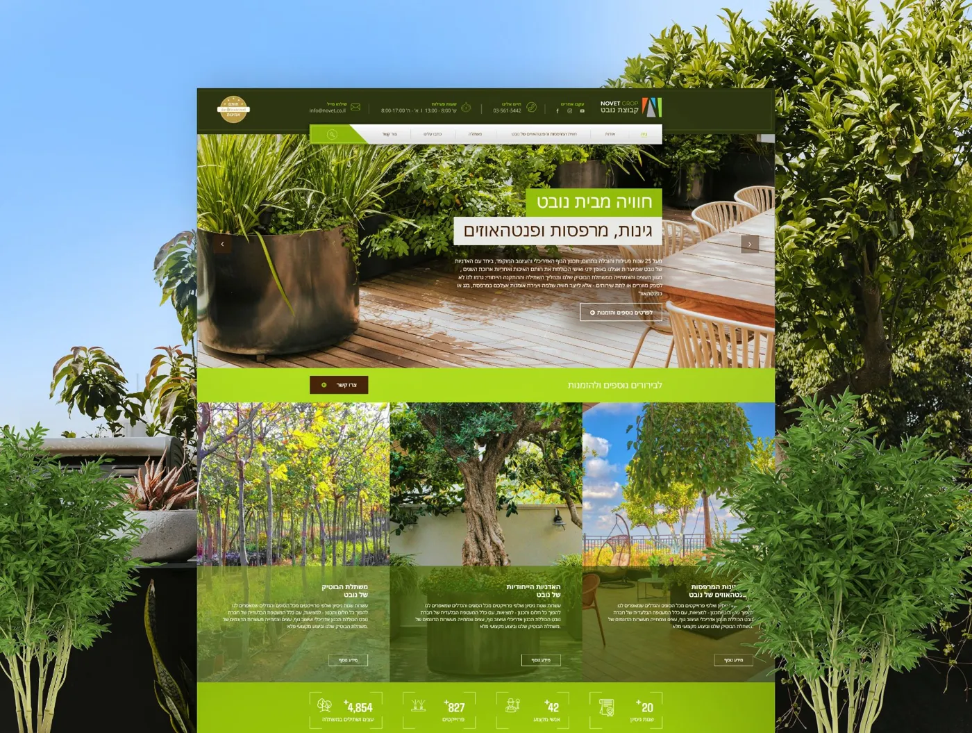 קידום אתר באינטרנט חברת נובט