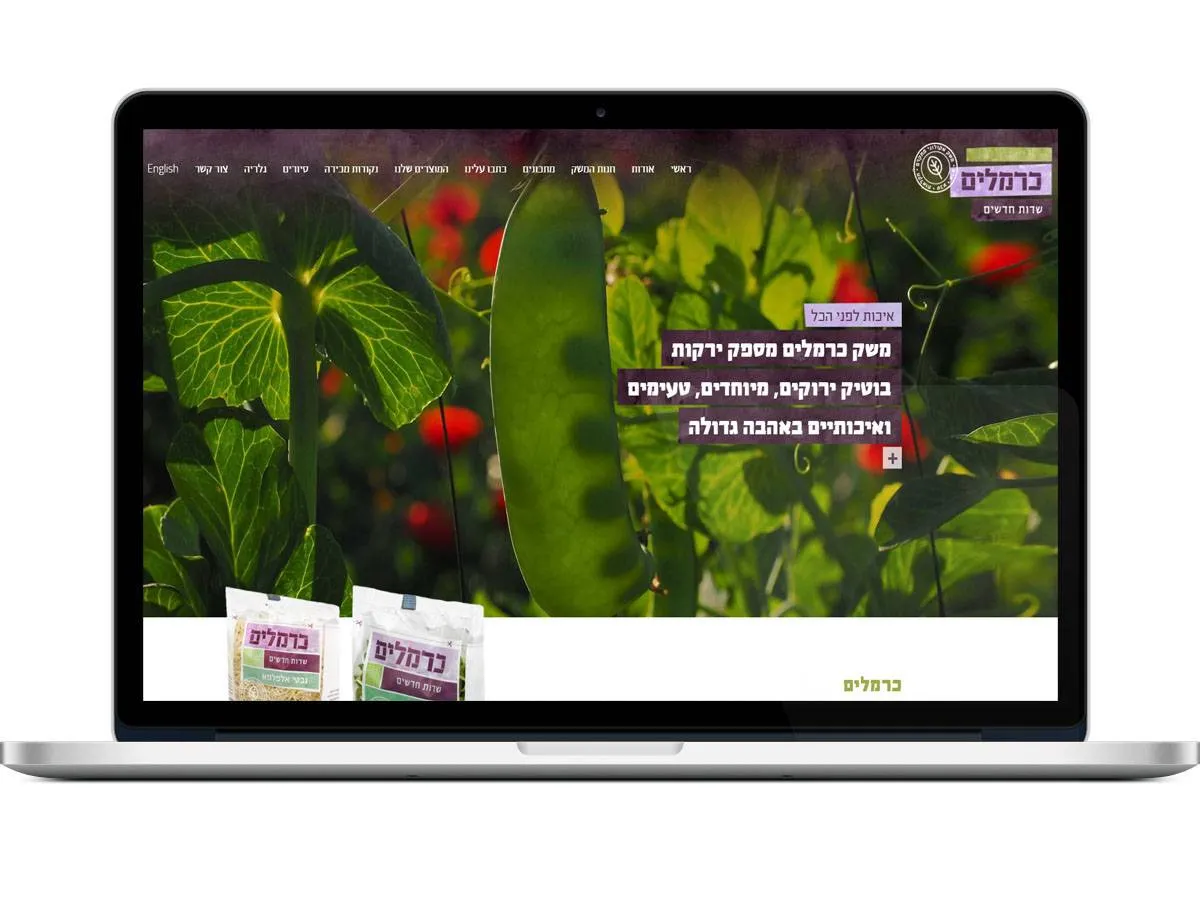 בניית אתר אינטרנט לכרמלים
