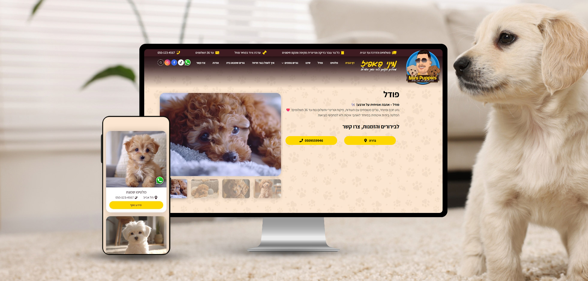 בניית אתר אינטרנט עבור מיניפאפיס